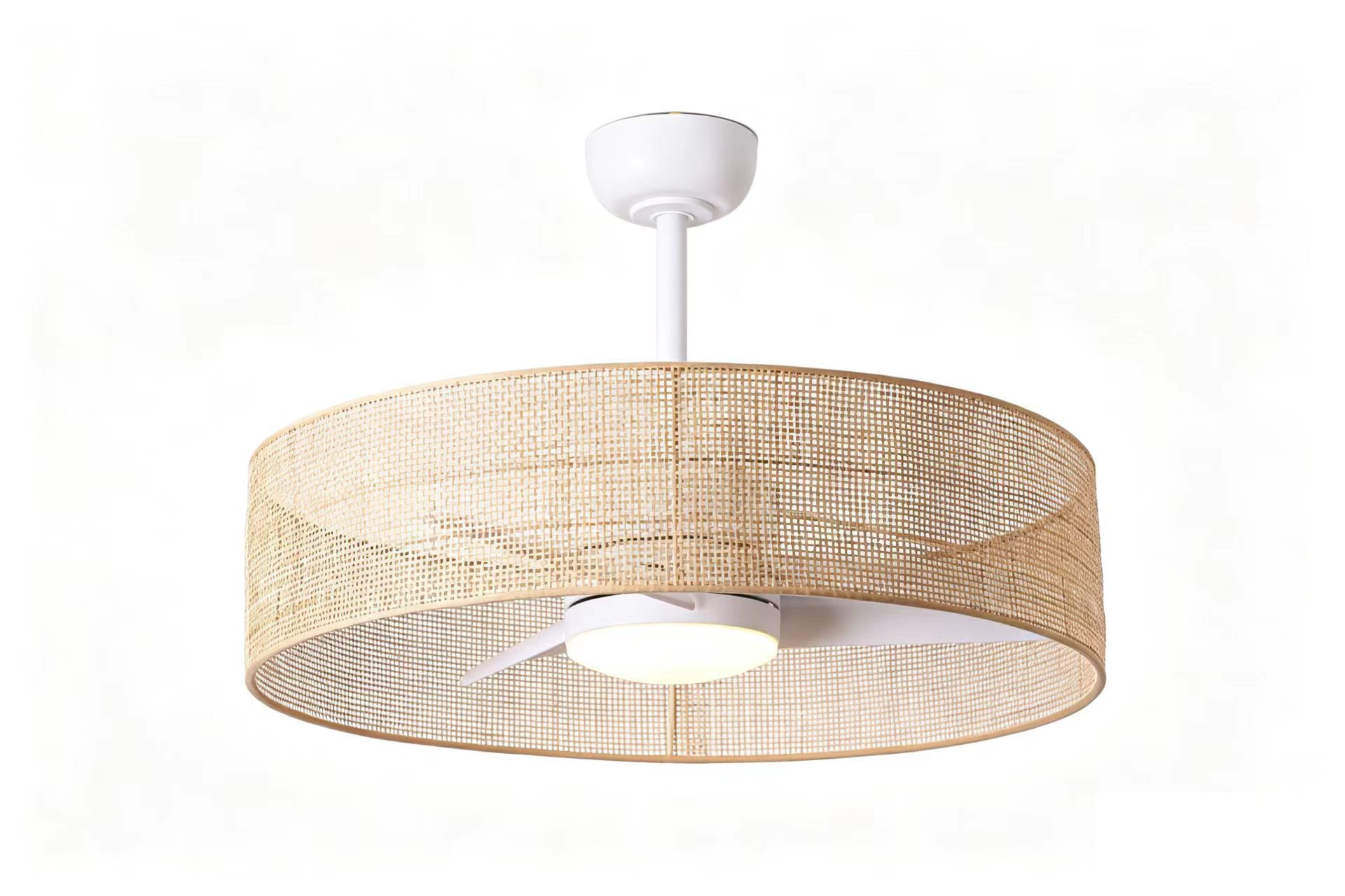 Caged rattan ceiling fan