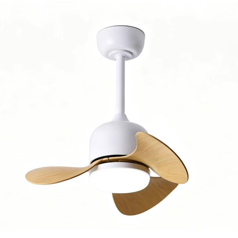 Living roomd ceiling fan with cool air