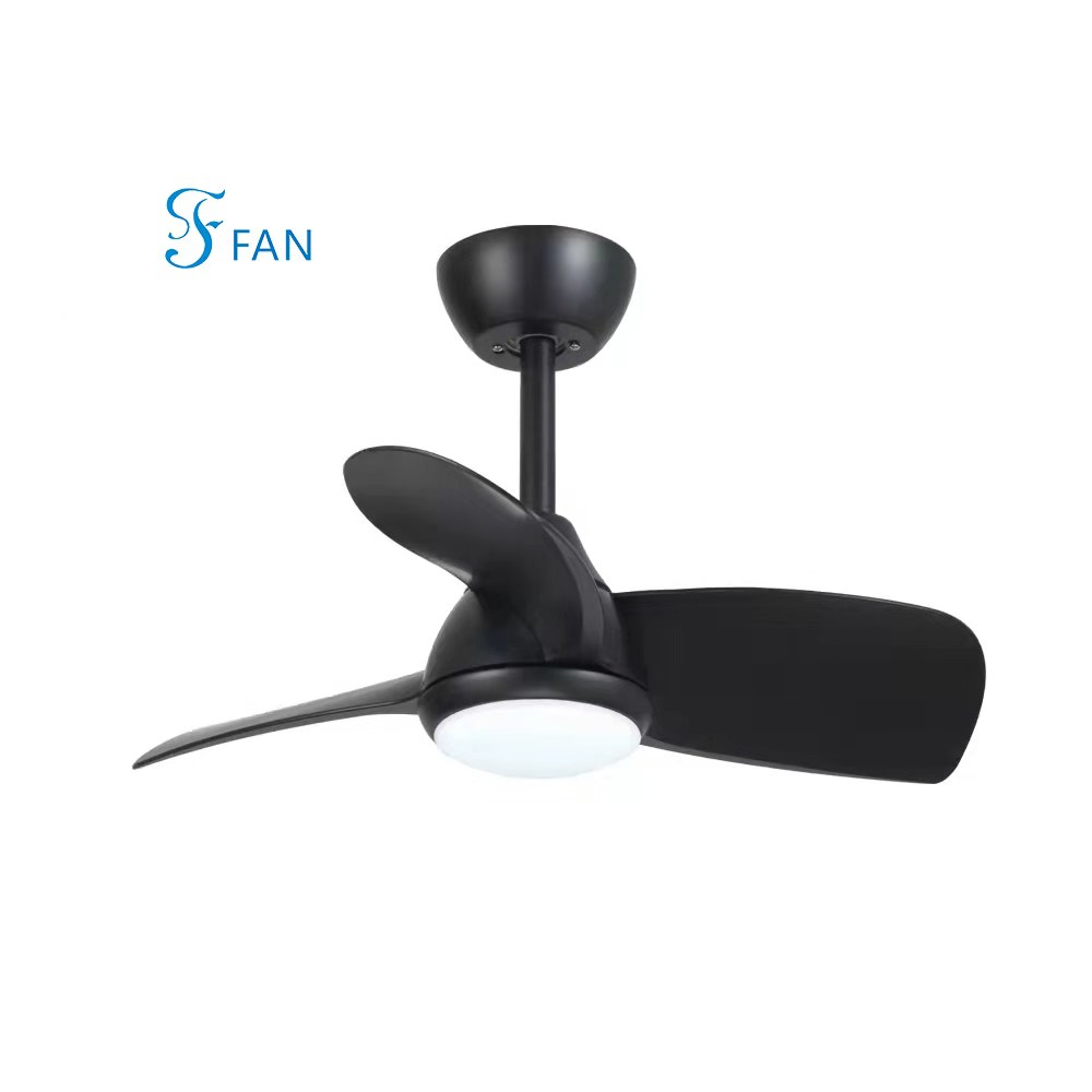 Black ceiling fan light