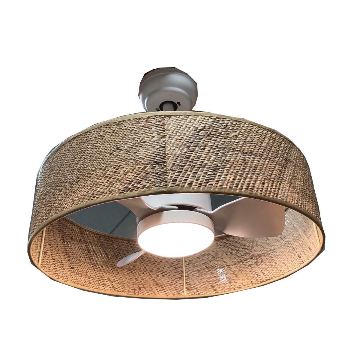 Raff grass fan light