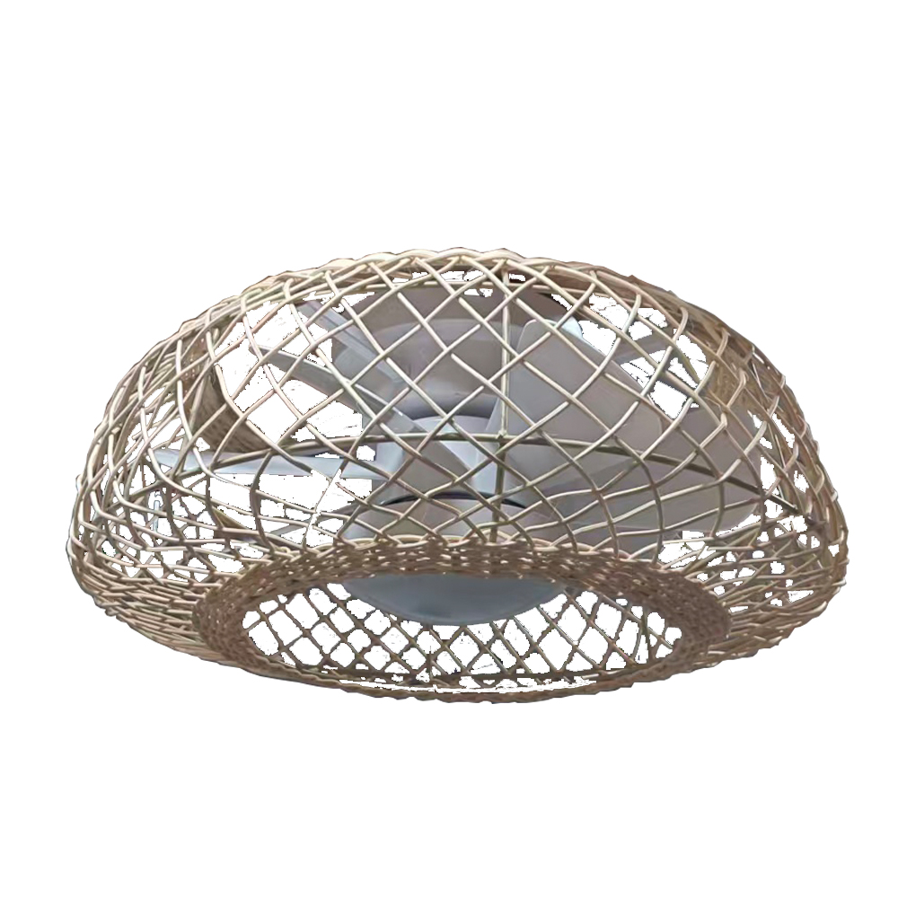 Ceiling type of fan light