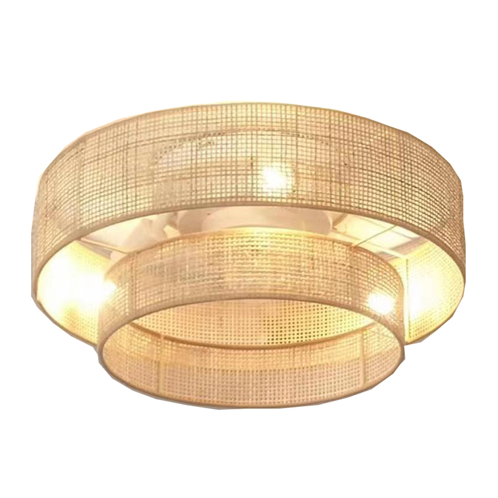 Caged LED Ceiling Fan with Light, DC Motor&Remote Control, Acrylic Lamp Cover, Color Changing Ceiling Fans for Living Room